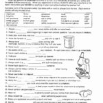 9th Grade Science Worksheets Free Printable