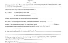 9Th Grade Science Worksheets Free Printable Forms Worksheets Diagrams