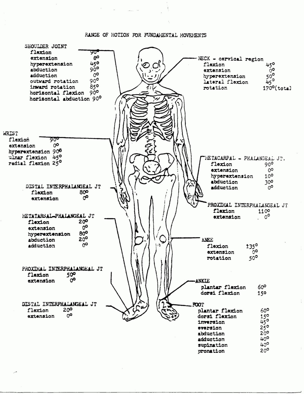 fundamentals-of-anatomy-and-physiology