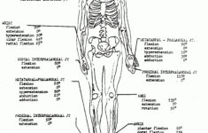 Anatomy And Physiology Coloring Workbook Answer Key Unique Coloring