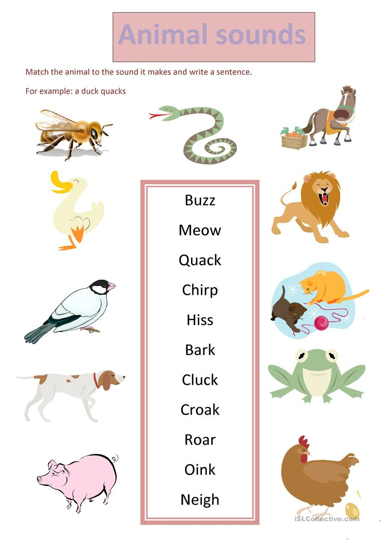 This Letter T Phonics Worksheet Helps Preschoolers Identify The 