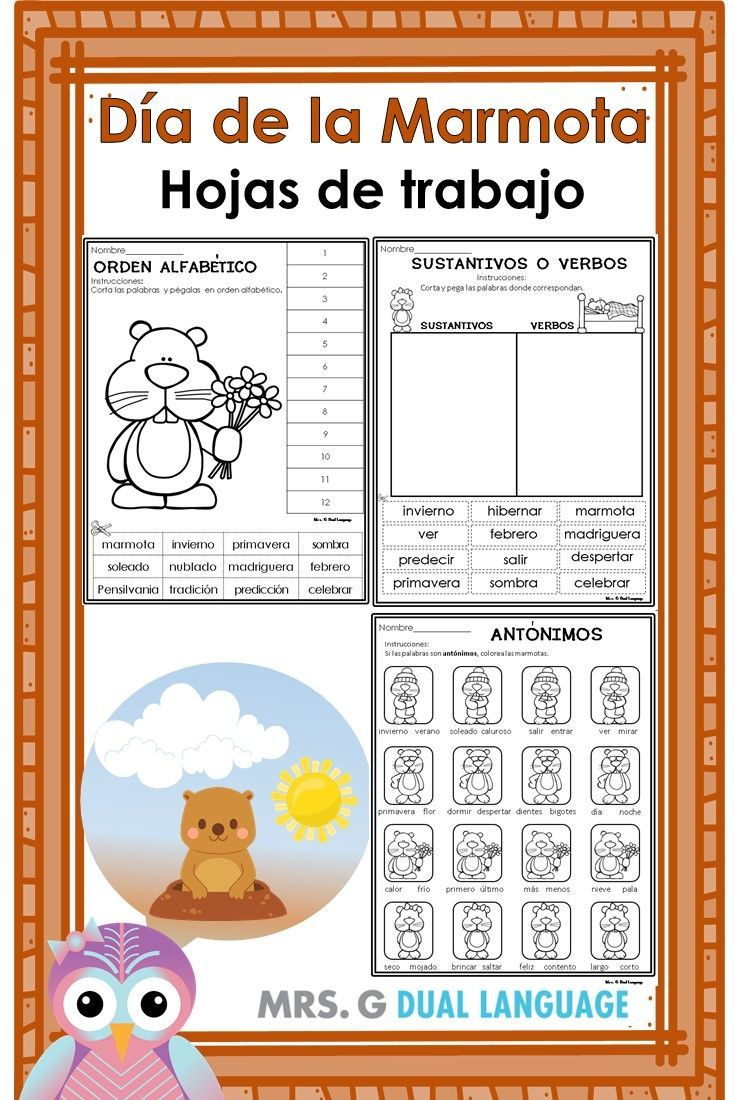 Groundhog Freebie Spanish Printables Spanish Worksheets Bilingual 