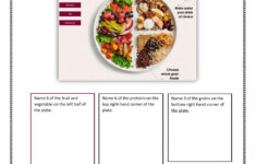 Canada s Food Guide Questions Worksheet