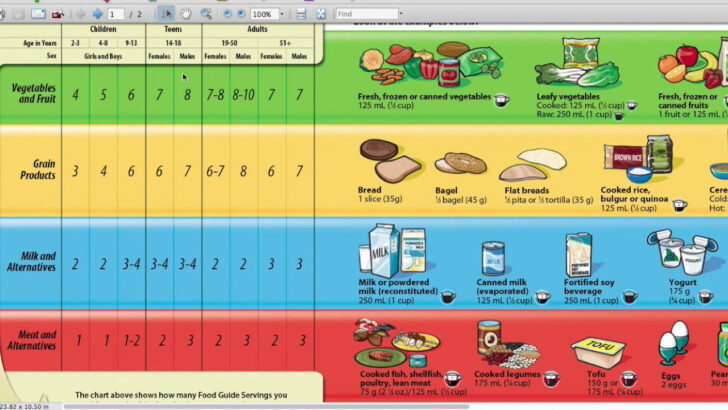 Canada Food Guide Printable Worksheets