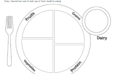 My Food Plate Worksheet Healthy Food Delivery Ideas Of Healthy Food