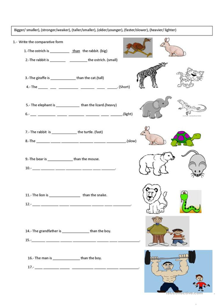 Comparative Worksheets Printable