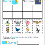 Day And Night Printable Worksheets