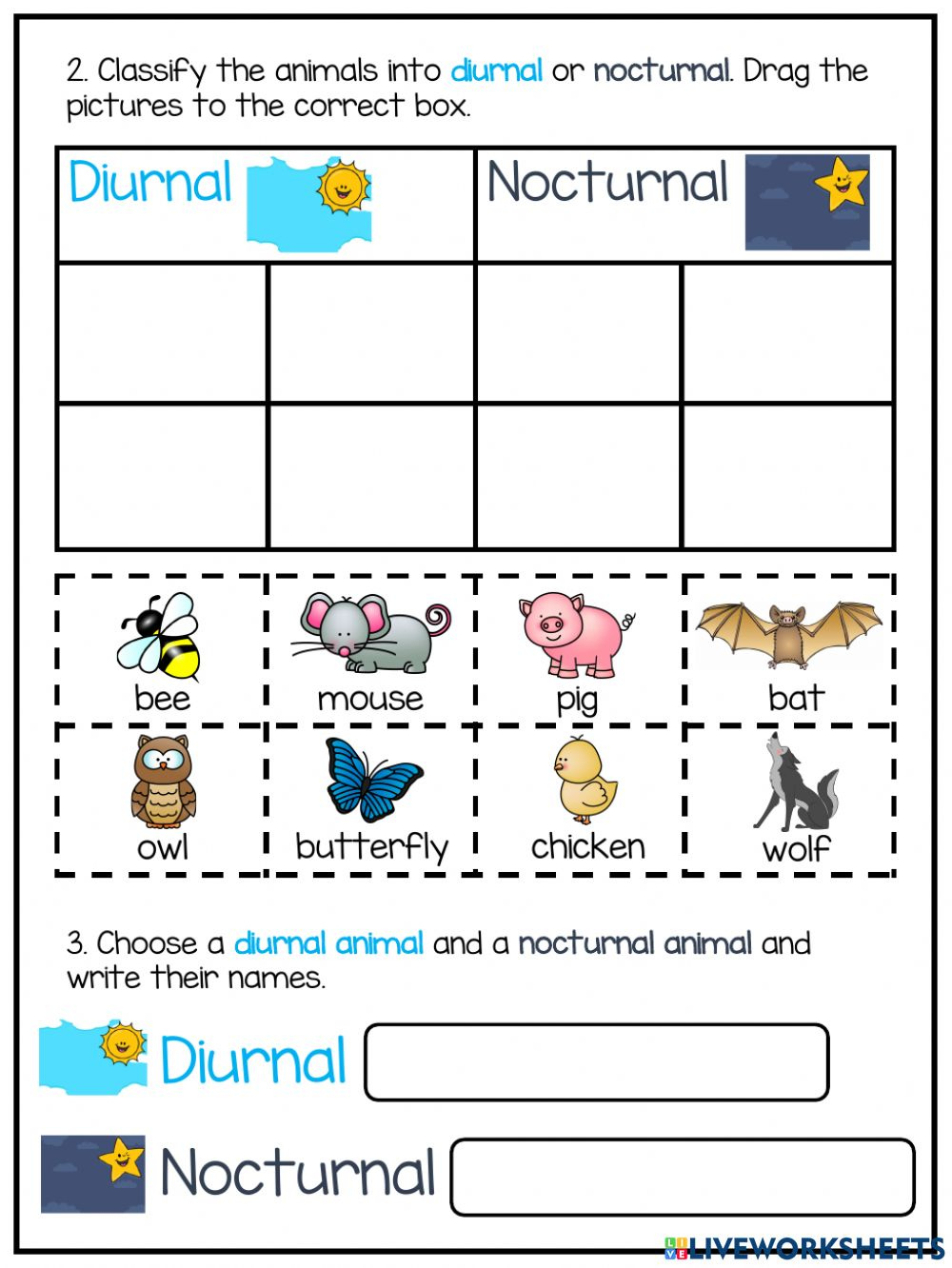 Day And Night Diurnal And Nocturnal Animals Worksheet