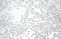 Dot To Dot Printables Hard Extreme Dot Dot Printable Worksheets