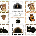 Free Printable Hibernation Worksheets