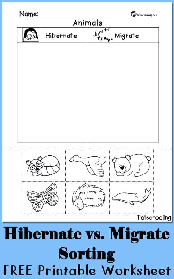 Hibernation Vs Migration Animal Sorting Worksheet Homeschool Giveaways