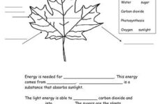 free printable photosynthesis worksheets 1 Photosynthesis Worksheet Teaching Resources Photosynthesis