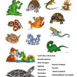 Free Printable Reptile Worksheets