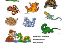 Let s Talk About Reptiles Worksheet Free Esl Printable Worksheets