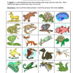 Free Printable Reptile Worksheets