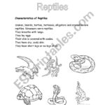 Free Printable Reptile Worksheets