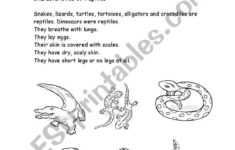 English Worksheets Reptiles