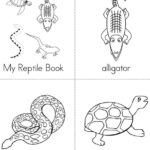 Free Printable Reptile Worksheets