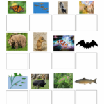 Free Printable Worksheets Animal Adaptations