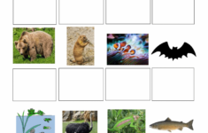 free printable worksheets animal adaptations 1 Free Printable Worksheets Animal Adaptations Lexia s Blog