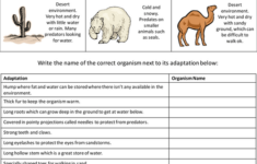 free printable worksheets animal adaptations 2 Animal Adaptations Worksheets 5th Grade Worksheets Master