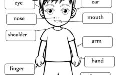 Body Parts Worksheet Scholars Hub Worksheets Body Parts Body Part