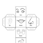 Free Printable Worksheets Kindergarten Body Parts