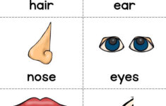 Pin En Preschool Science Activities