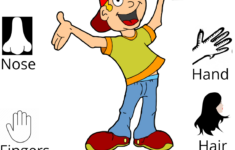 free printable worksheets preschool body parts 1 Body Parts For Toddlers Free Printable Preschool Worksheets