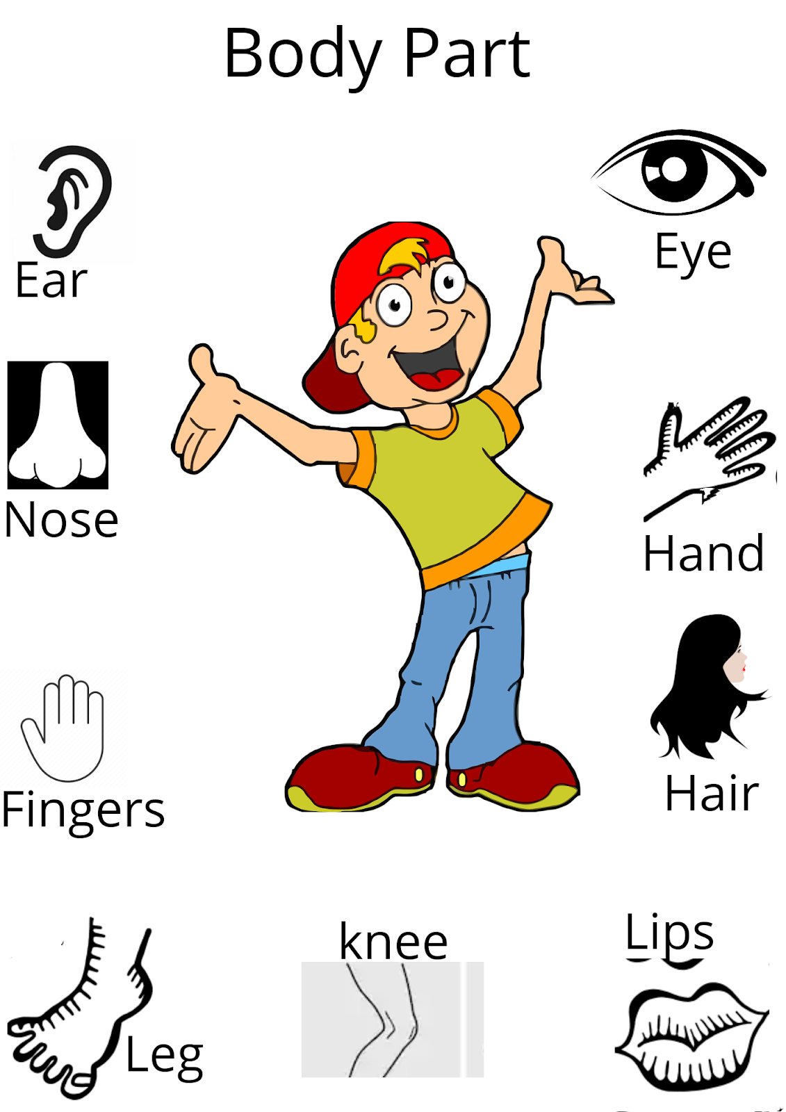 Body Parts For Toddlers Free Printable Preschool Worksheets 