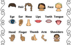 free printable worksheets preschool body parts Pin On Body Parts Preschool