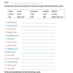 Free Printable Worksheets Synonyms Antonyms And Homonyms