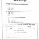 Houghton Mifflin Printable Worksheets