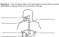 ks3 science revision worksheets printable 1 Ks3 Science Revision Worksheets Pdf Db excel