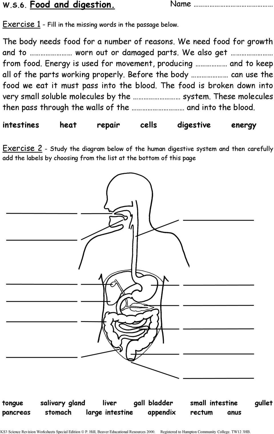 Ks3 Science Revision Worksheets Pdf Db excel