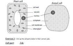 Iman s Home School Key Stage 3 Science Revision Worksheets Years 7 9