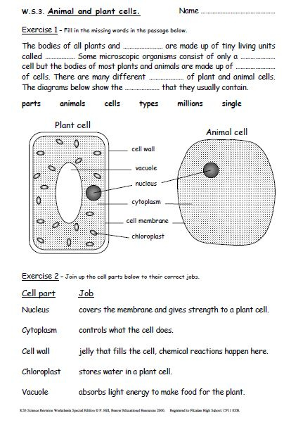 Iman s Home School Key Stage 3 Science Revision Worksheets Years 7 9 