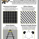 Optical Illusion Worksheets Printable