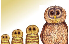 owl babies printable worksheets Baby Owl Dot To Dot Printable Worksheet Connect The Dots Owl Babies