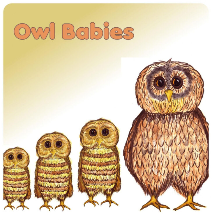 Owl Babies Printable Worksheets