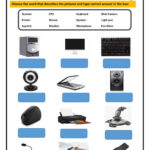 Parts Of A Computer Worksheet Printable