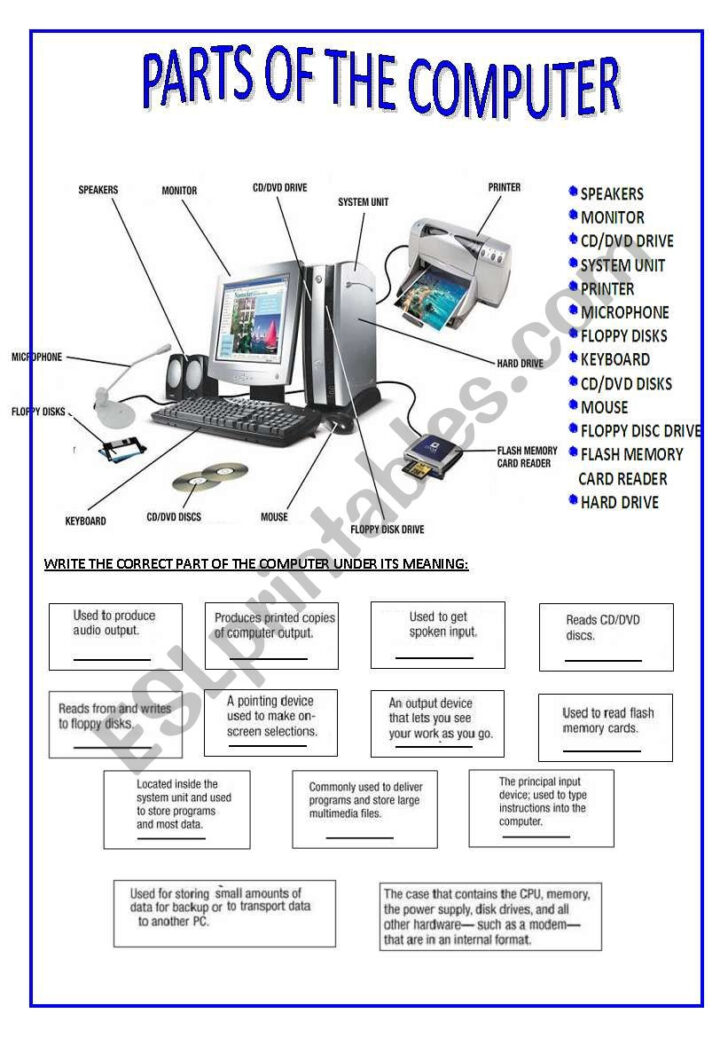 Parts Of A Computer Worksheet Printable