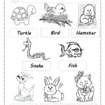 Pets Worksheets Printables