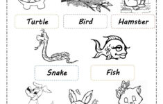 Pets Esl Worksheetgabitza Pets Worksheets Printables Printable