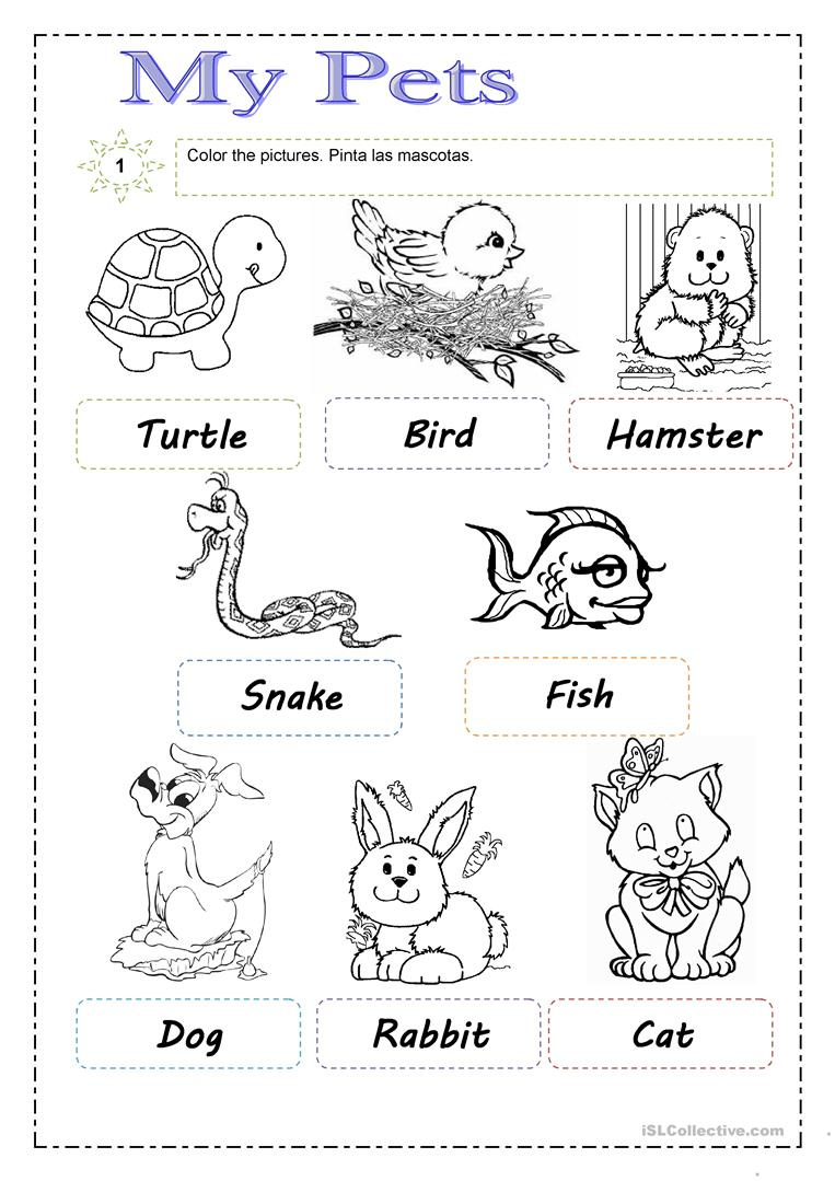 Pets Esl Worksheetgabitza Pets Worksheets Printables Printable 