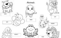 Animals Pets Worksheet Free ESL Printable Worksheets Made By Teachers