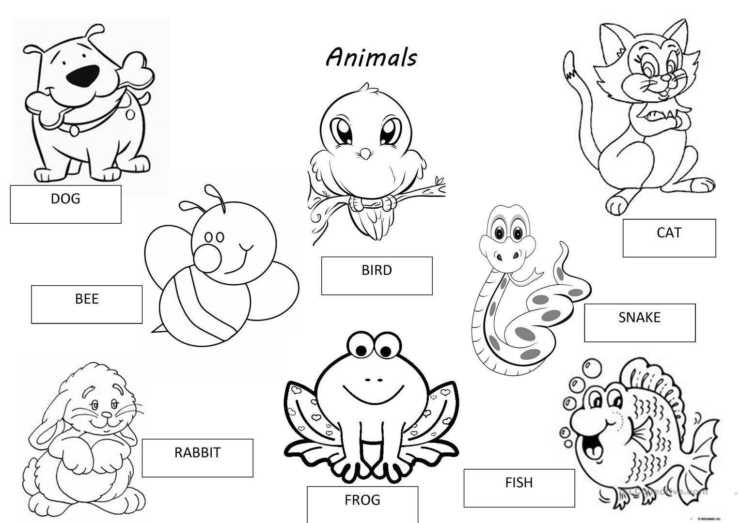 Animals Pets Worksheet Free ESL Printable Worksheets Made By Teachers