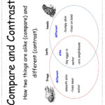 Printable Compare And Contrast Worksheets