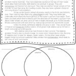 Printable Compare And Contrast Worksheets