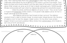 Compare And Contrast Whales Worksheets 99Worksheets